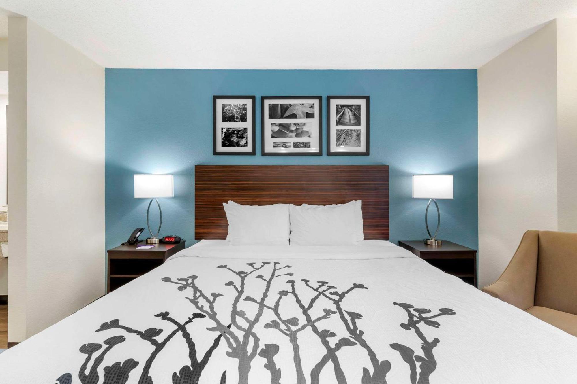 Sleep Mt Pleasant - Charleston